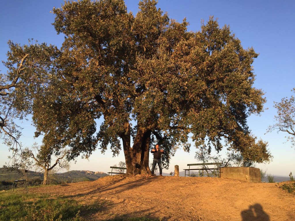 Michael-Karl-Gasser beim Asanas Üben unter einem Baum